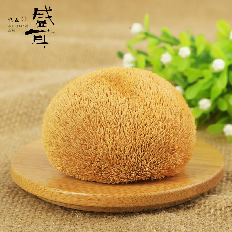【盛耳】盛耳猴头菇干货深山猴头菌菇猴头蘑特产干货250g 深山产地直供