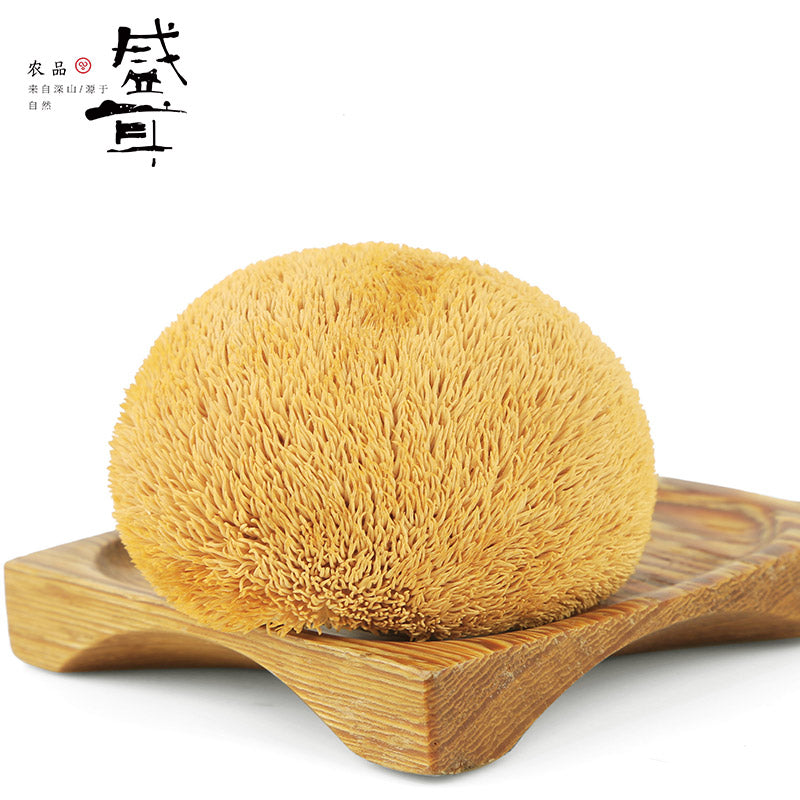 【盛耳】盛耳猴头菇干货深山猴头菌菇猴头蘑特产干货250g 深山产地直供